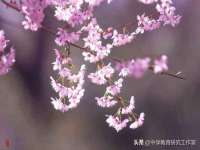 上海安栗兵餐饮管理有限公司