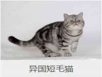 上海安栗兵餐饮管理有限公司