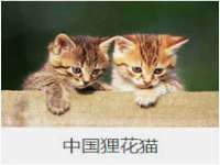 上海安栗兵餐饮管理有限公司