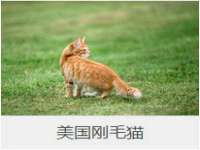 上海安栗兵餐饮管理有限公司