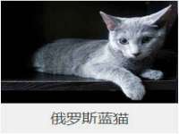 上海安栗兵餐饮管理有限公司