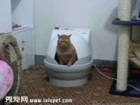 上海安栗兵餐饮管理有限公司