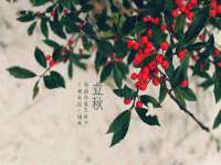 上海安栗兵餐饮管理有限公司