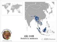 上海安栗兵餐饮管理有限公司