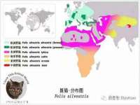 上海安栗兵餐饮管理有限公司