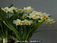 上海安栗兵餐饮管理有限公司