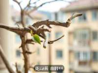 上海安栗兵餐饮管理有限公司