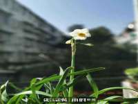 上海安栗兵餐饮管理有限公司