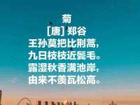 上海安栗兵餐饮管理有限公司