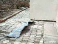 上海安栗兵餐饮管理有限公司