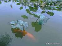上海安栗兵餐饮管理有限公司