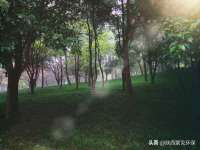 上海安栗兵餐饮管理有限公司