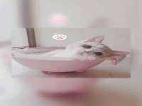 上海安栗兵餐饮管理有限公司