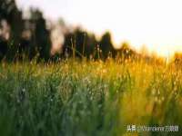 上海安栗兵餐饮管理有限公司