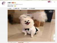上海安栗兵餐饮管理有限公司
