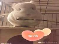 上海安栗兵餐饮管理有限公司