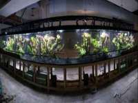 上海安栗兵餐饮管理有限公司