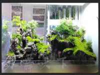 上海安栗兵餐饮管理有限公司