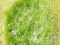 上海安栗兵餐饮管理有限公司