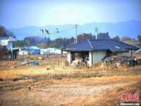 上海安栗兵餐饮管理有限公司