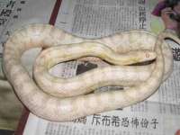 上海安栗兵餐饮管理有限公司