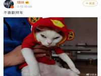 上海安栗兵餐饮管理有限公司