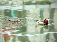 上海安栗兵餐饮管理有限公司